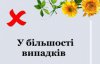 11 типових помилок у нашому щоденному мовленні