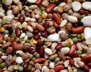 Вчені назвали продукти для поліпшення пам'яті