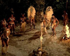 В Африке возобновилась охота на вампиров