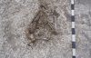 На військовій базі знайшли поховання кам'яної доби