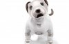 Sony представила нового робота-собаку Aibo