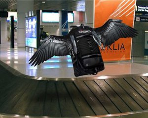 Утерянный багаж в аэропорту &quot;Борисполь&quot; будут искать с помощью Facebook