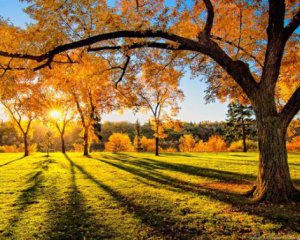 Прогноз погоды на 6 ноября: туманно, но тепло