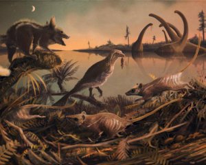 Нашли останки первого млекопитающего на Земле