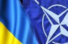Критика НАТО має привести до тями наших чиновників — Палій