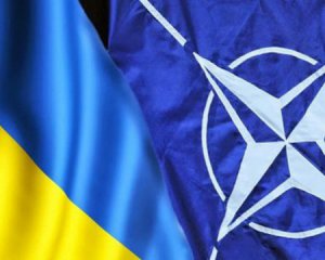 Критика НАТО має привести до тями наших чиновників — Палій