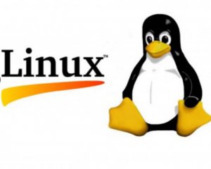 Linux, что не боится кибератак, вытеснила другие операционные системы