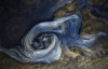 Мощный шторм на Юпитере: NASA опубликовало фото