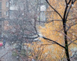 С понедельника в Украине пойдет мокрый снег