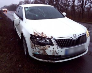 Skoda насмерть сбила велосипедиста