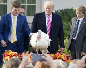 Трамп помиловал свою первую индейку в канун Дня благодарения