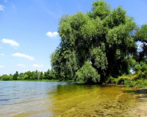 У Києві озеро перебуває на порозі екологічної катастрофи