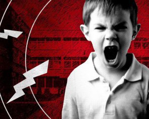 12 кримінальних проваджень. У Києві 8-річний учень тримає в страху всю школу