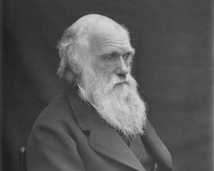 Чарльз Дарвин писал книгу о происхождении видов 20 лет