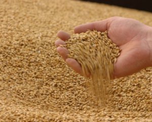 В Україні зібрали 60 млн т зерна нового врожаю