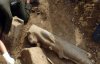 Археологи знайшли 27 статуй давньої богині