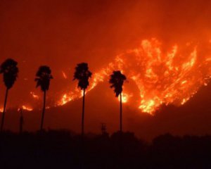 Калифорния в огне: шокирующие фото и видео