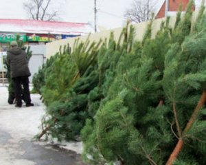 Новый Год: где в Киеве будут продавать елки