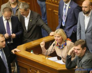Президентская фракция поддержит увольнение Соболева