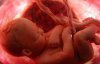 Ученые научились определять во время беремености, является ли ребенок левшой
