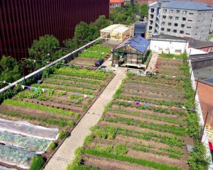 Експерт назвав кращі бізнеси на наступний рік