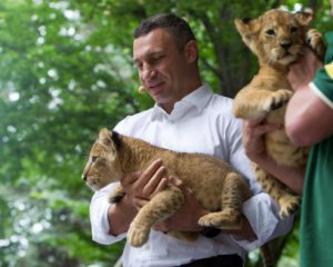 В следующем году мы завершим первую очередь реконструкции киевского зоопарка - Кличко