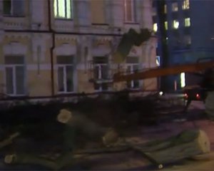 В столице упала 30-метровая акация: разбитые автомобили и оборванные электропровода