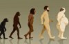 Еволюція людини закінчилася, попереду деградація - вчені