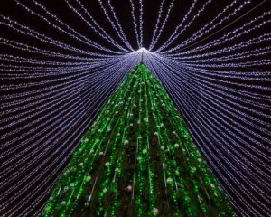 В украинском мегаполисе появится лазерная елка