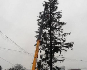Кишинев требует деньги за елку из Украины
