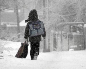 Снігопад у Києві: школярам дозволили не ходити на заняття