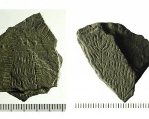 Археологи нашли 300 камней с загадочным орнаментом