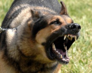 Травля собаками и жесткие &quot;шмоны&quot; - в РФ привезли политзаключенных из Крыма