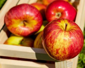 Яблука продають удвічі дорожче, ніж торік