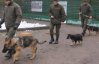 Кінологи розповіли, як готують собак для АТО