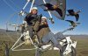 "Человек-птица" на параплане учит летать диких гусей - уникальное видео