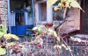 В январе в украинском городе созрела малина