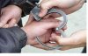 Задержали насильника двух несовершеннолетних девушек