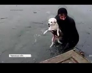 Собака почти сутки плавала на льдине посреди озера