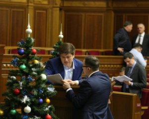 Парламент відхилив усі 673 правки до деокупації Донбасу