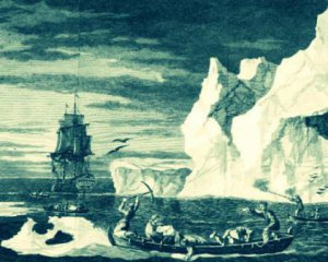 Капітан Кук назвав Антарктиду плавучими льодами