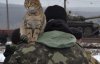 С оружием и котами - трогательные фото встречи дома 128-й горно-пехотной бригады