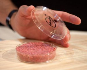 Эксперты рассказали, когда искусственное мясо появится на прилавках