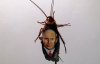 Художник рисует портреты президентов-тиранов на тараканах