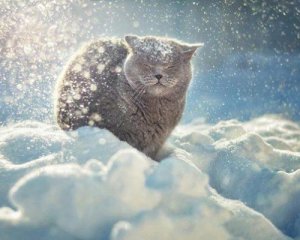 В Україну повертається зима: прогнозують морози та снігопади