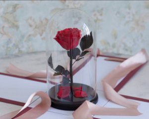 Розу в банке покупают за 1500 гривен – что подарить на День влюбленных