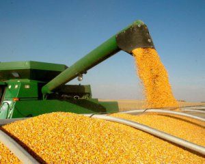 Українська кукурудза перемогла американську на ринку Китаю