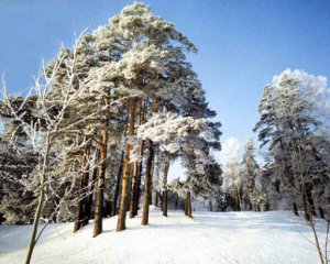 День Николая Студеного: приметы и традиции праздника