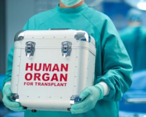 Нідерланди узаконили обов&#039;язкове донорство після смерті