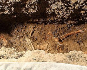 Археологи знайшли поховання перших мешканців Копенгагену